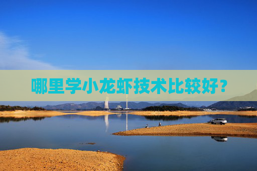 哪里学小龙虾技术比较好？