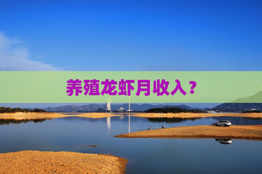 养殖龙虾月收入？