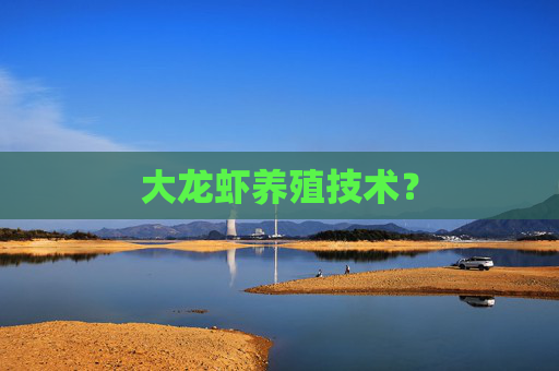 大龙虾养殖技术？