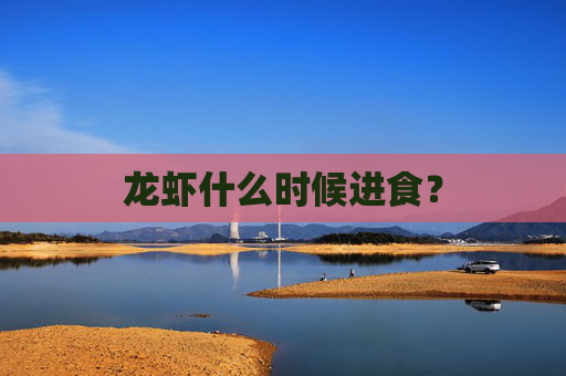 龙虾什么时候进食?