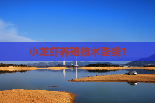 小龙虾养殖技术路线？