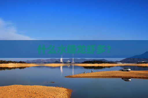 什么水塘龙虾多？