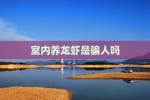 室内养龙虾是骗人吗 室内养龙虾是骗人吗