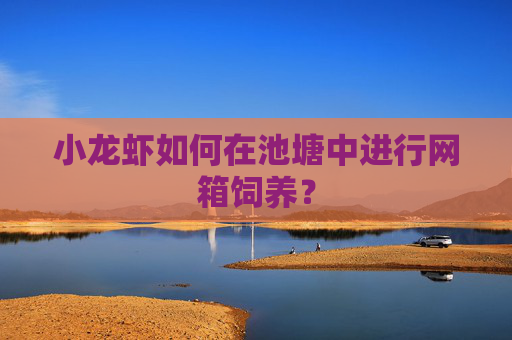 小龙虾如何在池塘中进行网箱饲养？
