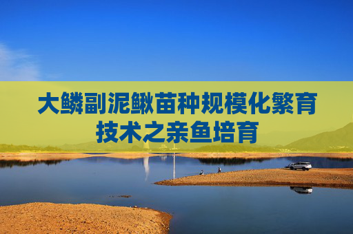 大鳞副泥鳅苗种规模化繁育技术之亲鱼培育