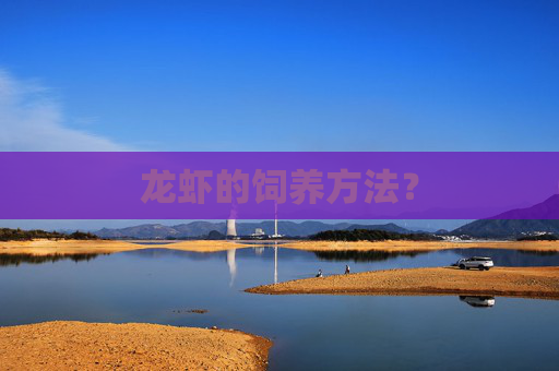 龙虾的饲养方法？
