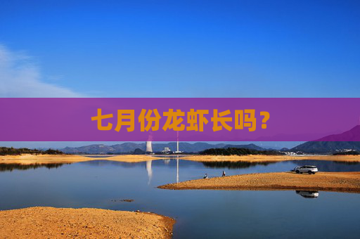 七月份龙虾长吗？