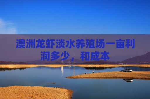 澳洲龙虾淡水养殖场一亩利润多少，和成本