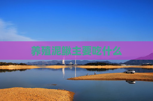 养殖泥鳅主要吃什么 养殖泥鳅主要吃什么
