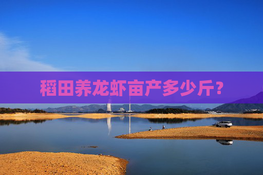 稻田养龙虾亩产多少斤？