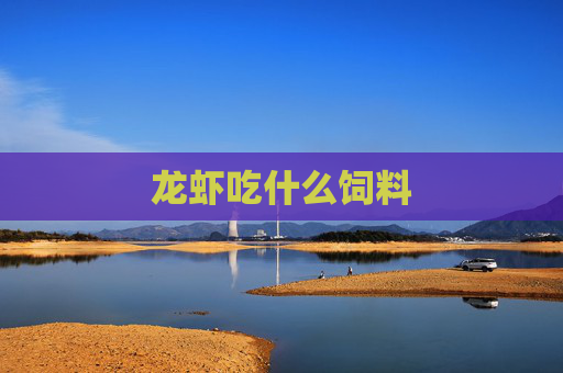 龙虾吃什么饲料