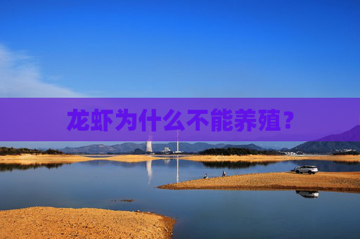 龙虾为什么不能养殖？