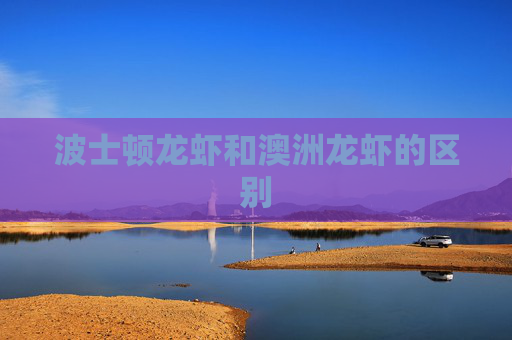 波士顿龙虾和澳洲龙虾的区别