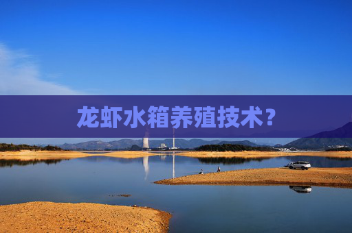 龙虾水箱养殖技术？