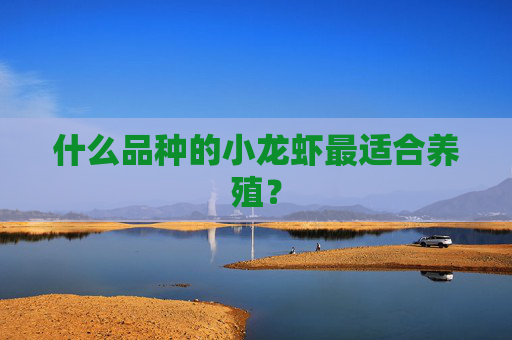 什么品种的小龙虾最适合养殖？