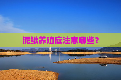 泥鳅养殖应注意哪些？