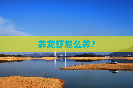 养龙虾怎么养？
