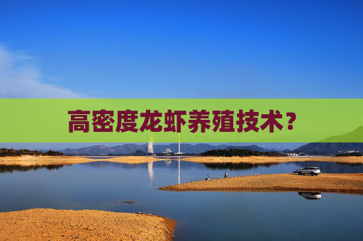 高密度龙虾养殖技术？