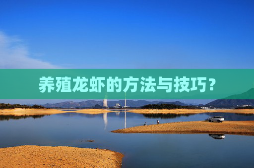养殖龙虾的方法与技巧？