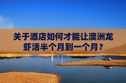 关于酒店如何才能让澳洲龙虾活半个月到一个月？