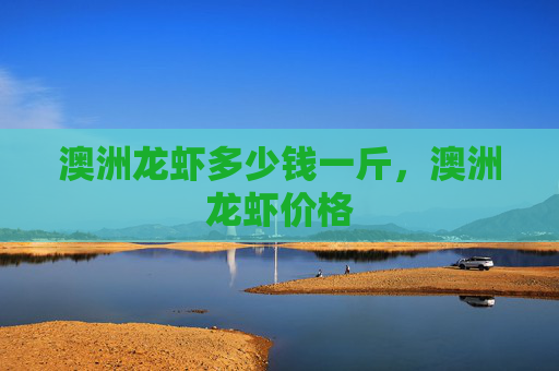 澳洲龙虾多少钱一斤，澳洲龙虾价格