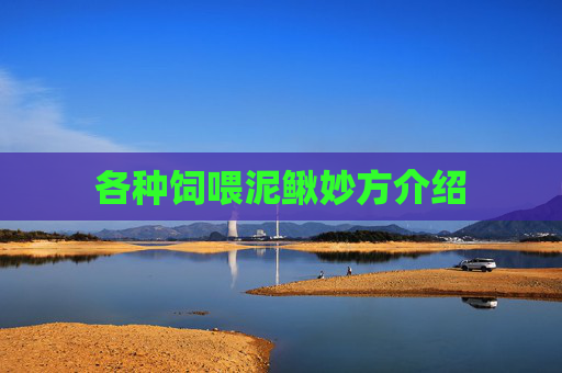 各种饲喂泥鳅妙方介绍