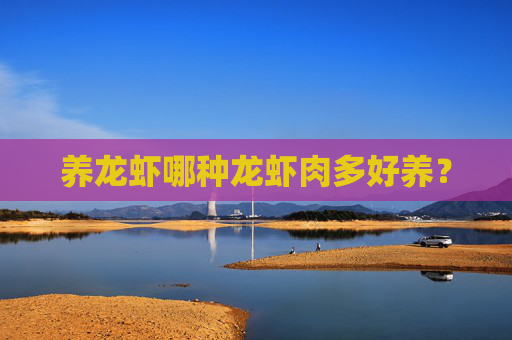 养龙虾哪种龙虾肉多好养？