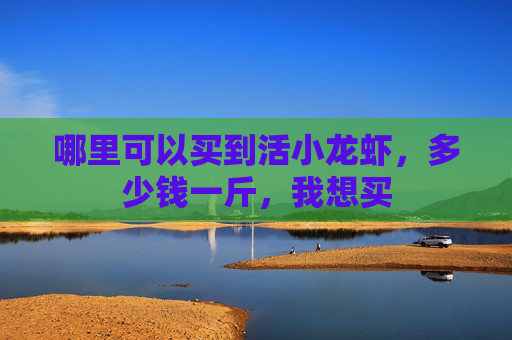 哪里可以买到活小龙虾，多少钱一斤，我想买