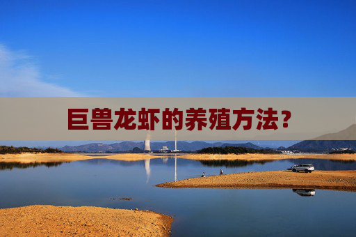 巨兽龙虾的养殖方法？