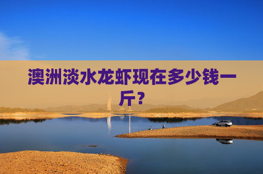 澳洲淡水龙虾现在多少钱一斤? 澳洲淡水龙虾现在多少钱一斤?