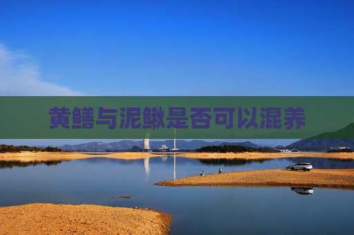 黄鳝与泥鳅是否可以混养