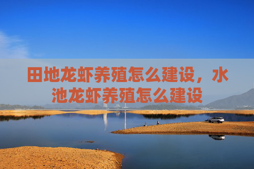 田地龙虾养殖怎么建设，水池龙虾养殖怎么建设