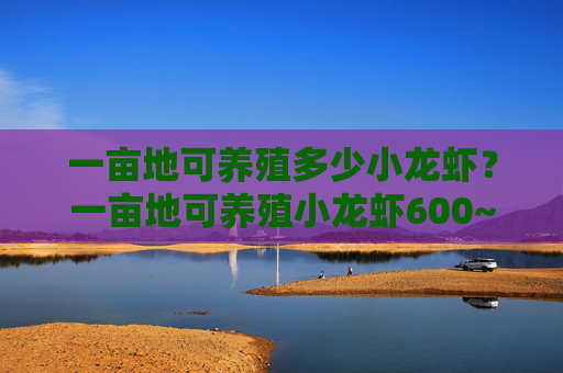 一亩地可养殖多少小龙虾？一亩地可养殖小龙虾600~700斤