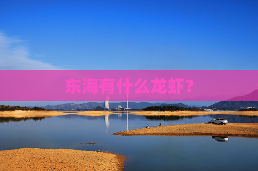 东海有什么龙虾？