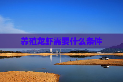 养殖龙虾需要什么条件