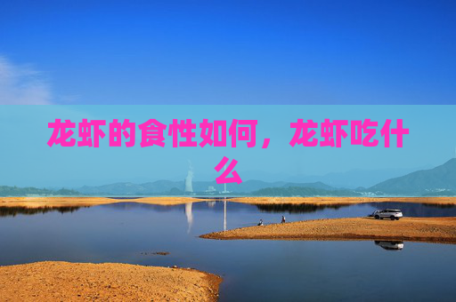 龙虾的食性如何，龙虾吃什么