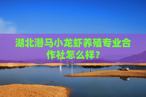 湖北潜马小龙虾养殖专业合作社怎么样？