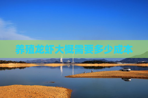 养殖龙虾大概需要多少成本