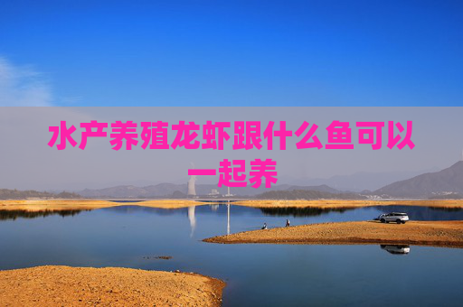 水产养殖龙虾跟什么鱼可以一起养