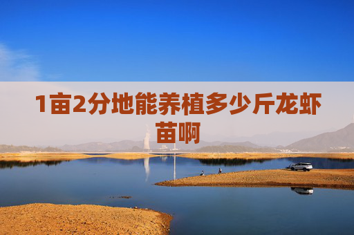 1亩2分地能养植多少斤龙虾苗啊