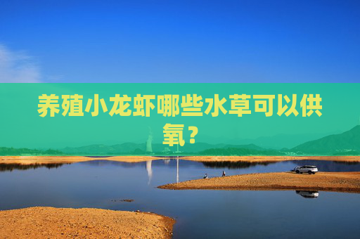 养殖小龙虾哪些水草可以供氧？
