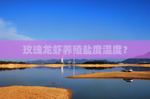玫瑰龙虾养殖盐度温度？