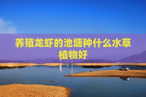 养殖龙虾的池塘种什么水草植物好 养殖龙虾的池塘种什么水草植物好