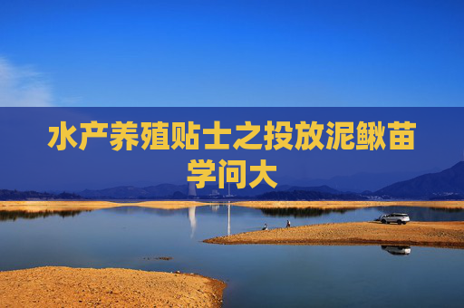 水产养殖贴士之投放泥鳅苗学问大