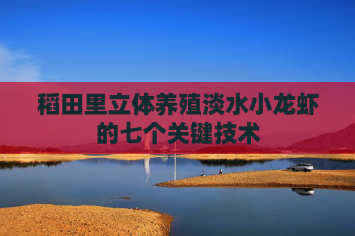 稻田里立体养殖淡水小龙虾的七个关键技术