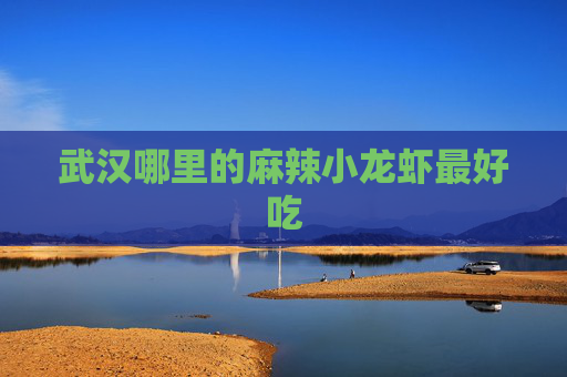 武汉哪里的麻辣小龙虾最好吃