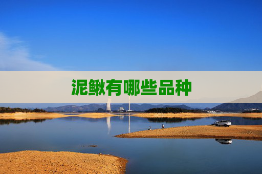 泥鳅有哪些品种