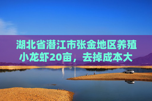 湖北省潜江市张金地区养殖小龙虾20亩，去掉成本大概纯利润年收入多少钱啊