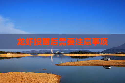 龙虾投苗后需要注意事项