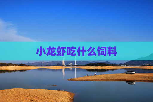 小龙虾吃什么饲料